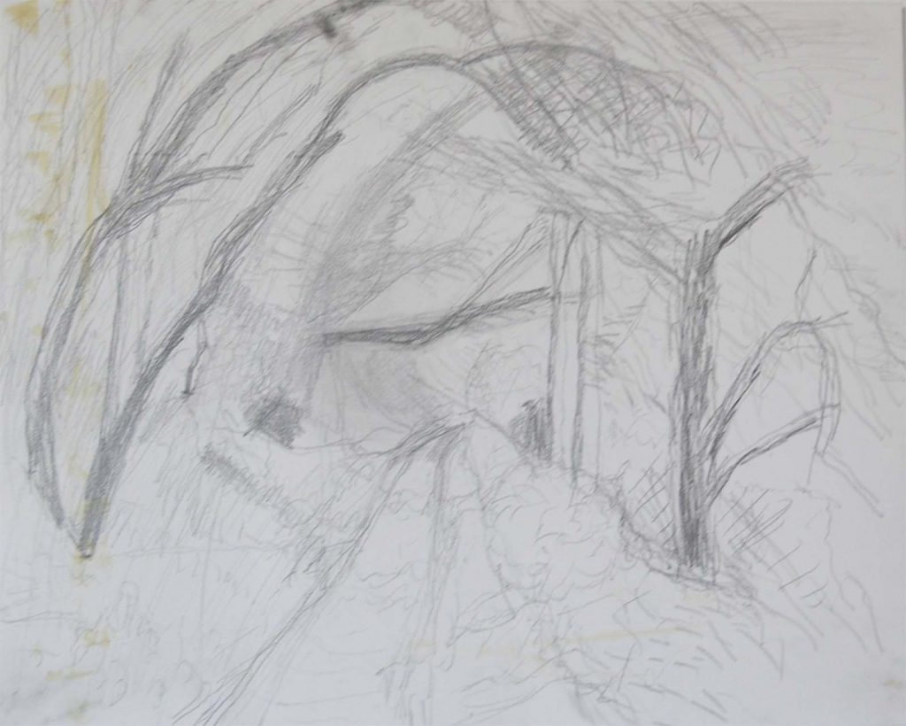 Mary Burke down the pathway-pencil