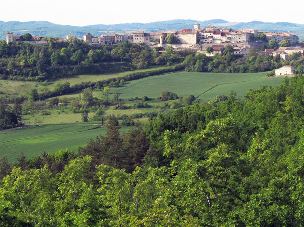 Castelnau de Montmiral south facing side