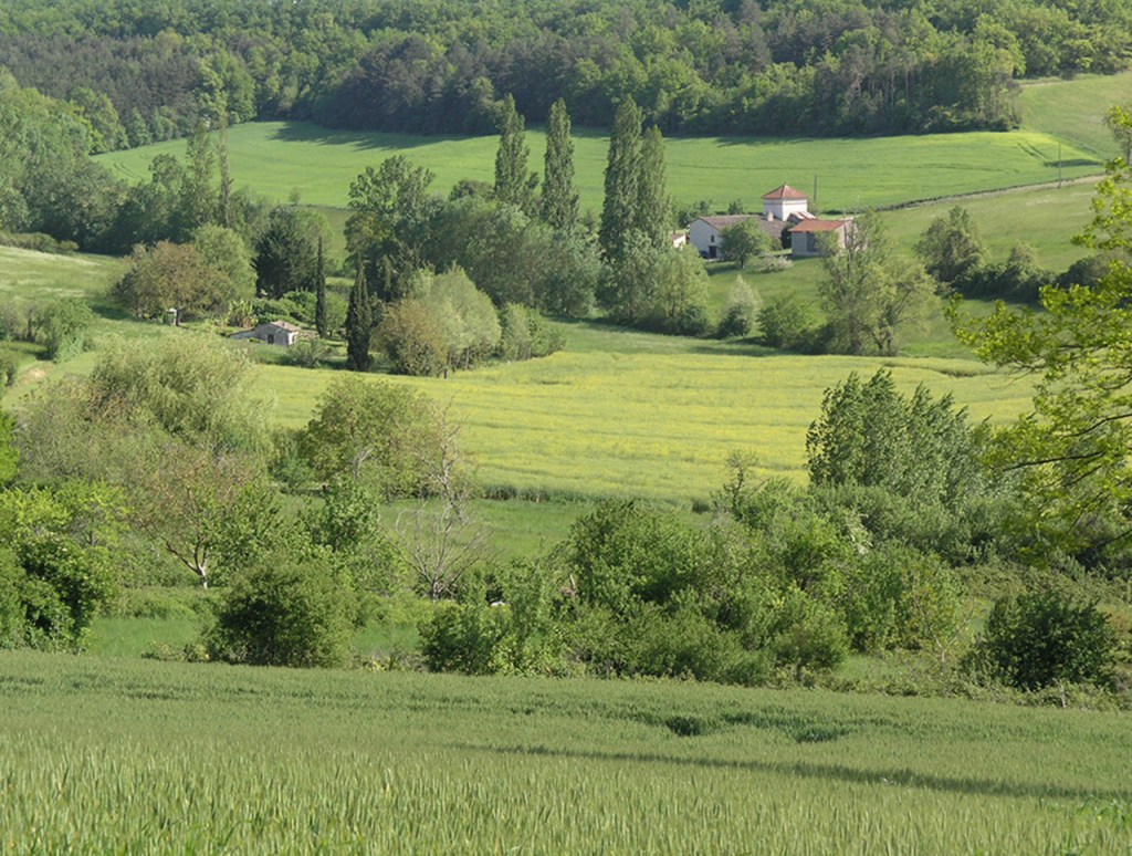 Landscape south of Montiral