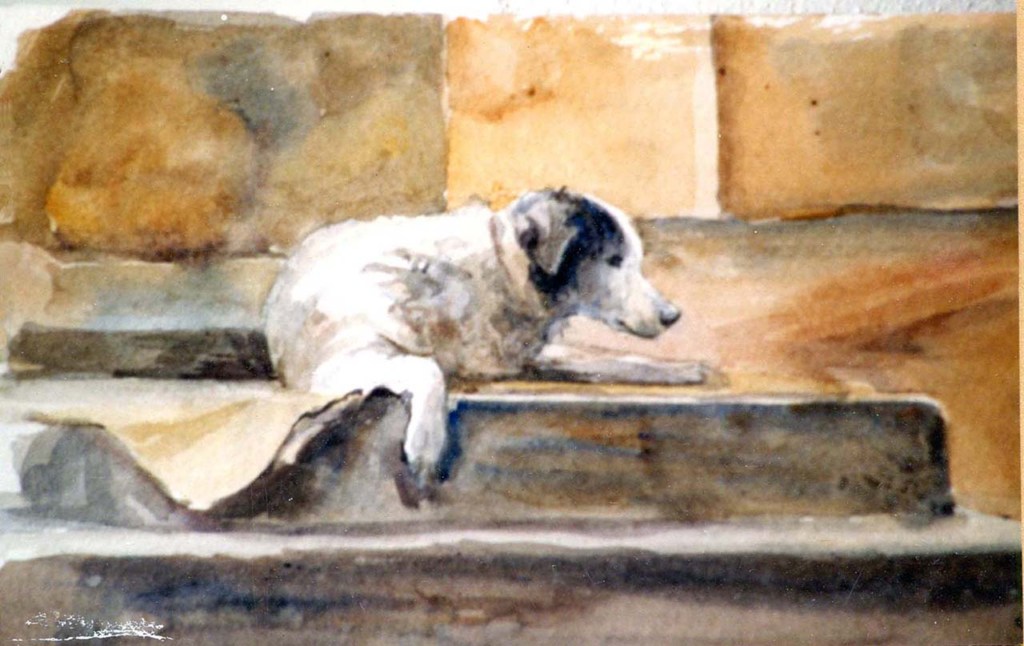Titou M. Robert's dog (watercolour)