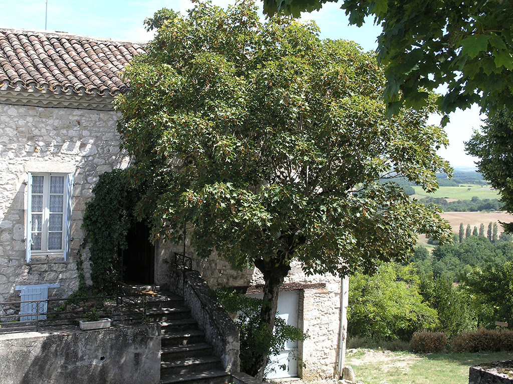 Gites used by the Painting school